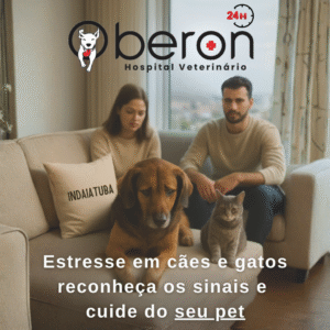 Cão e gato com sinais de estresse em ambiente doméstico em Indaiatuba, sendo acolhidos pela família — atendimento comportamental veterinário na Oberon Vet