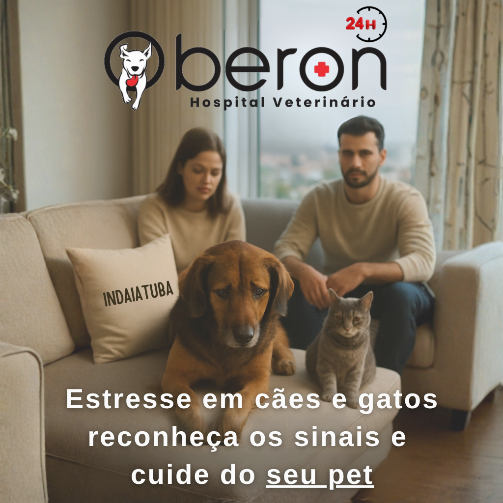 Cão e gato com sinais de estresse em ambiente doméstico em Indaiatuba, sendo acolhidos pela família — atendimento comportamental veterinário na Oberon Vet