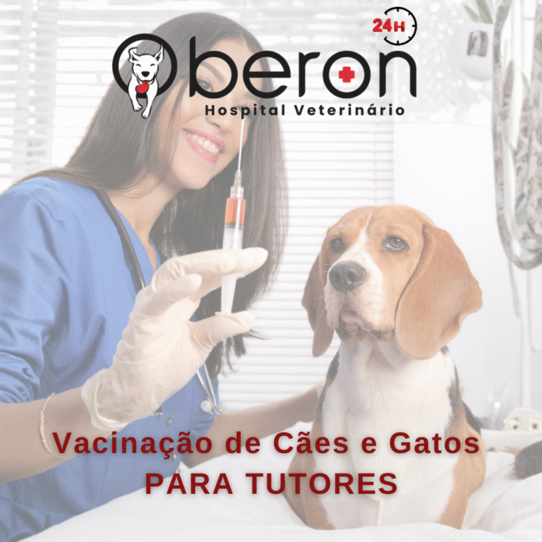 Calendário de Vacinação de Pets em Indaiatuba: O Que Todo Tutor Precisa Saber Sobre Vacinas Essenciais